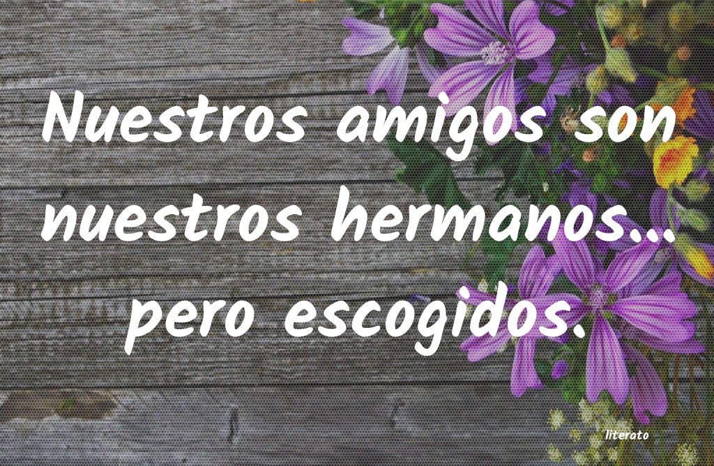frases lindas para una amiga especial