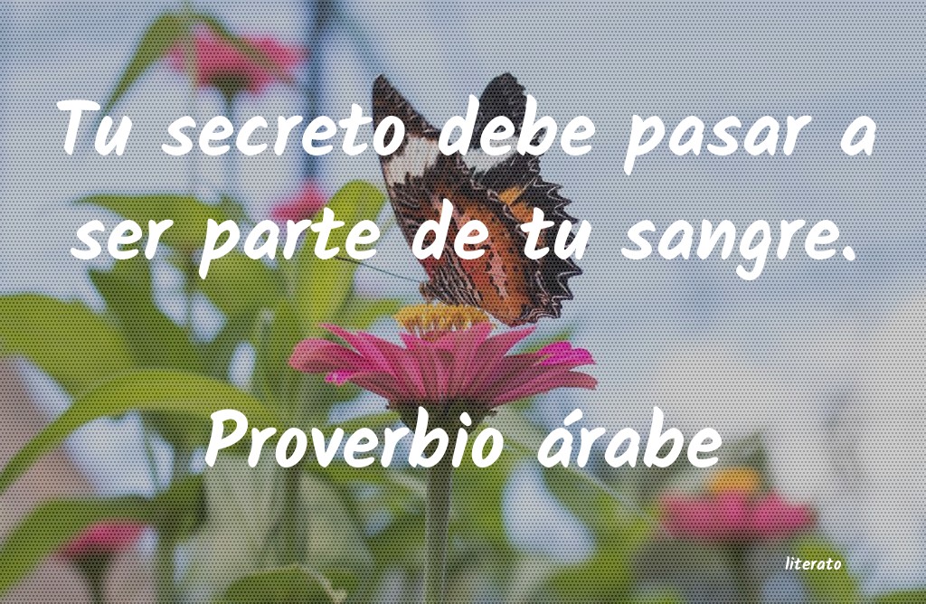 Frases de Proverbio árabe