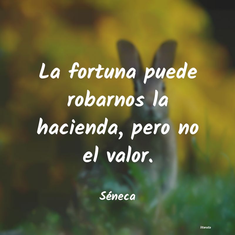 Frases de Séneca