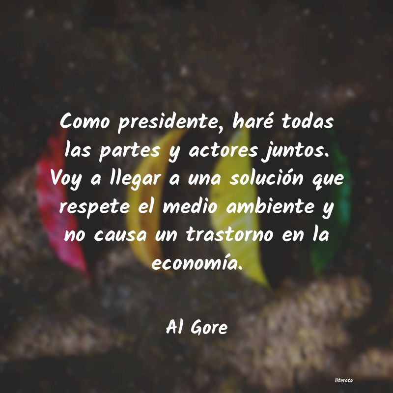 Frases de Al Gore