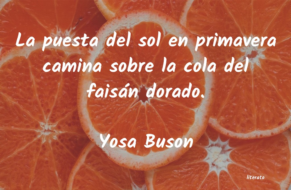 frases de Yosa Buson
