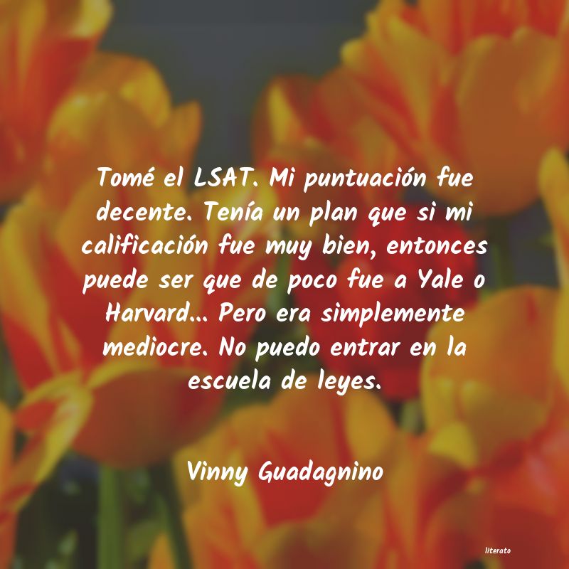 Frases de Vinny Guadagnino