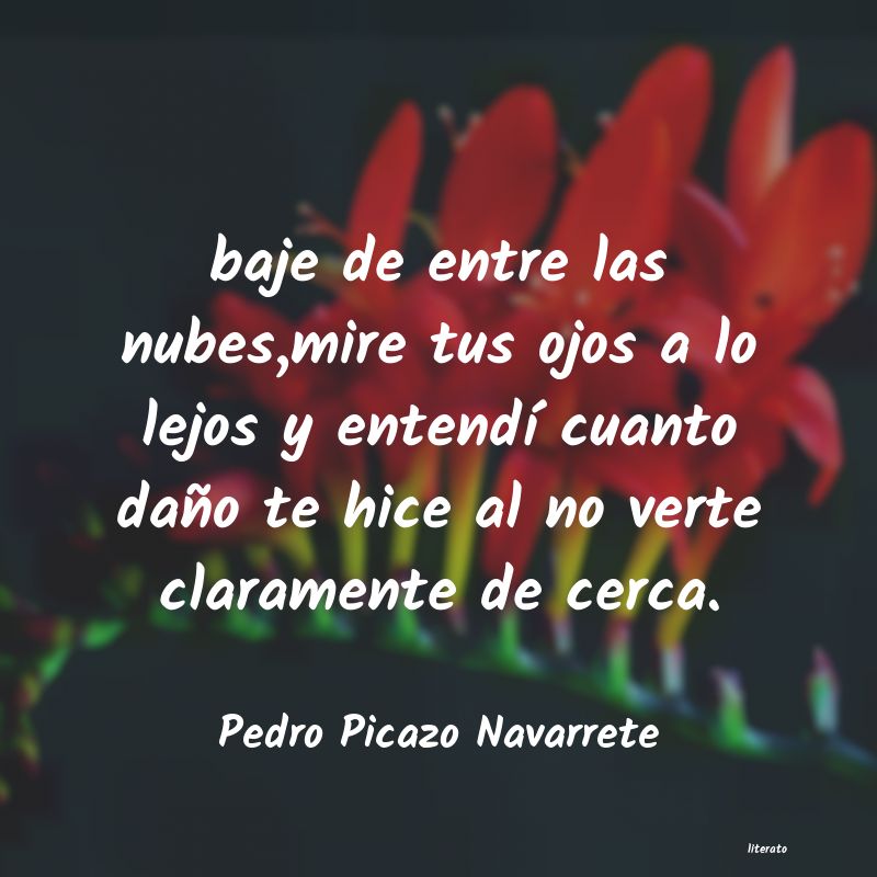 Frases de Pedro Picazo Navarrete