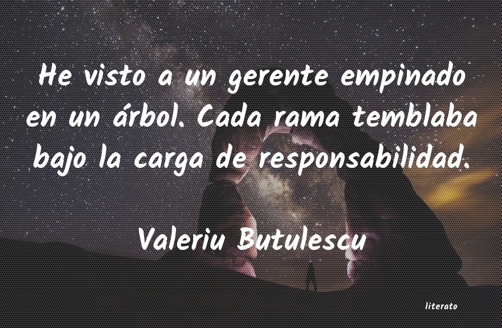 Frases de Valeriu Butulescu