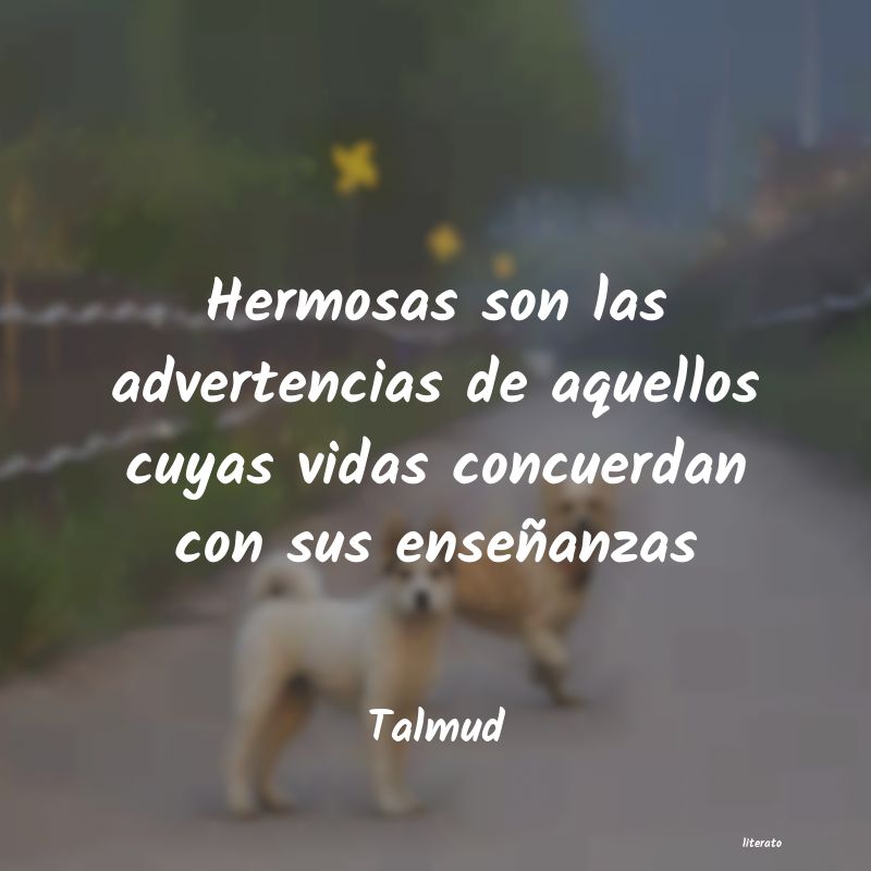 Frases de Talmud