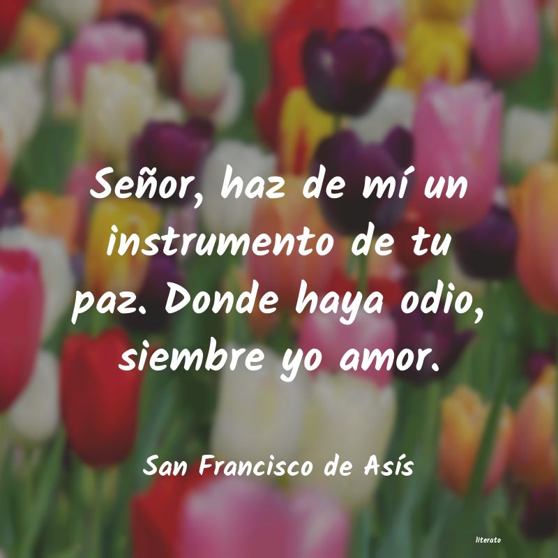 frases de San Francisco de AsÃs