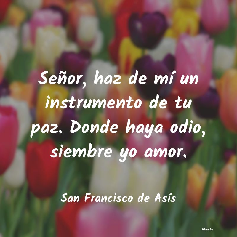 Frases de San Francisco de Asís