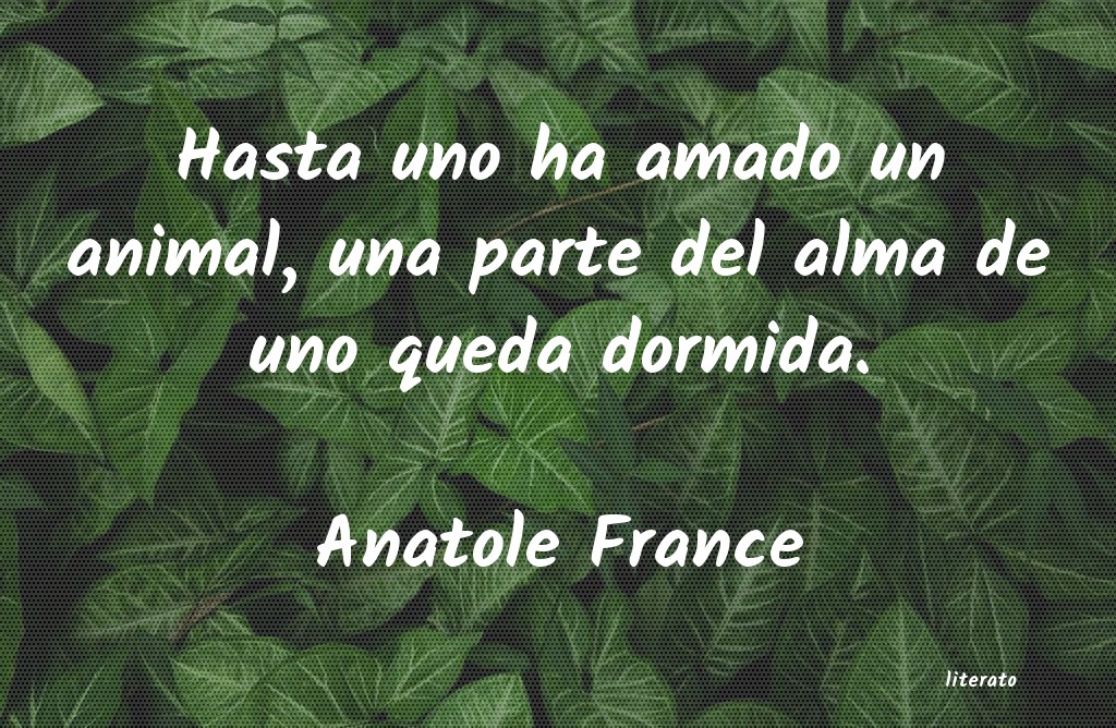 frases de Anatole France