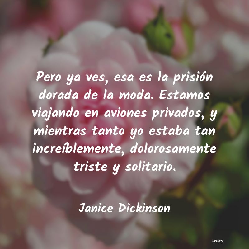 Frases de Janice Dickinson