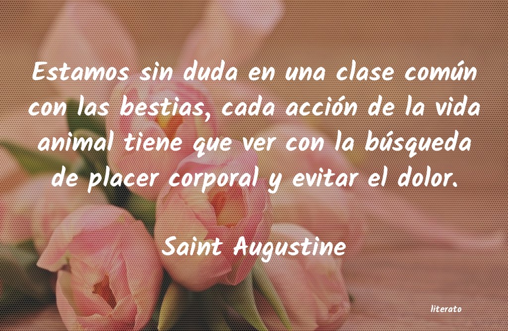 Frases de Saint Augustine