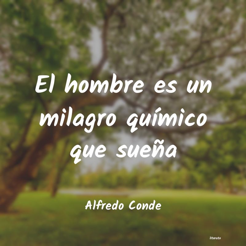 Frases de Alfredo Conde