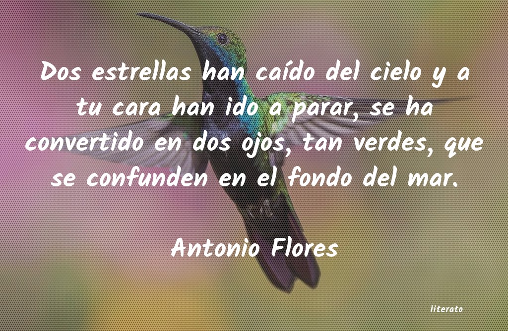 Frases de Antonio Flores