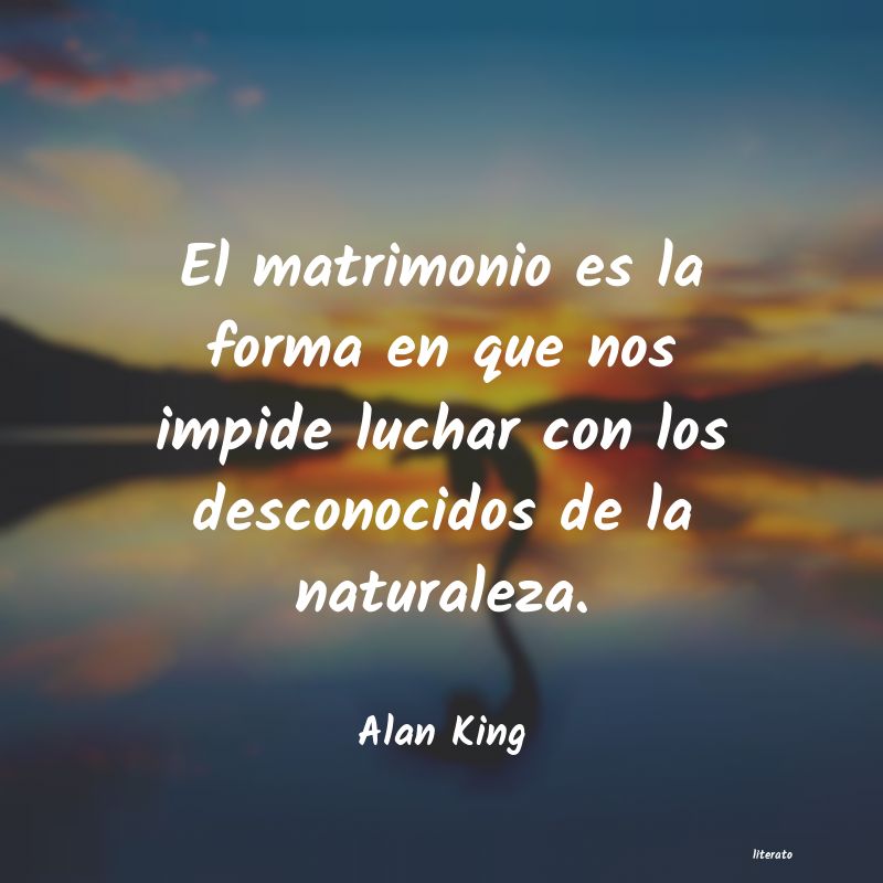 frases de Alan King
