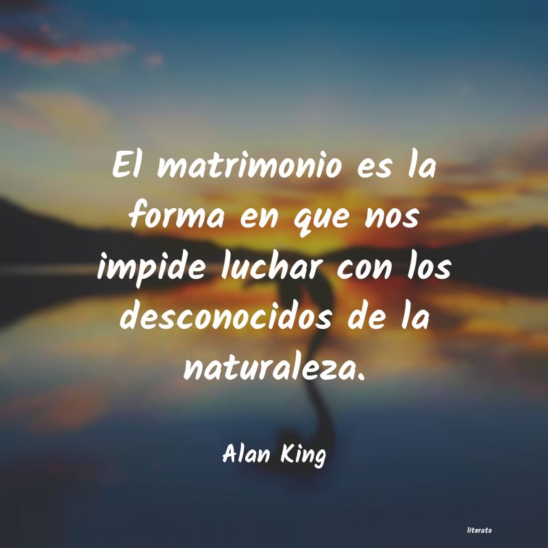 Frases de Alan King