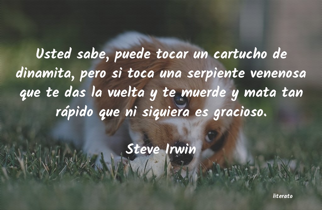 frases de Steve Irwin