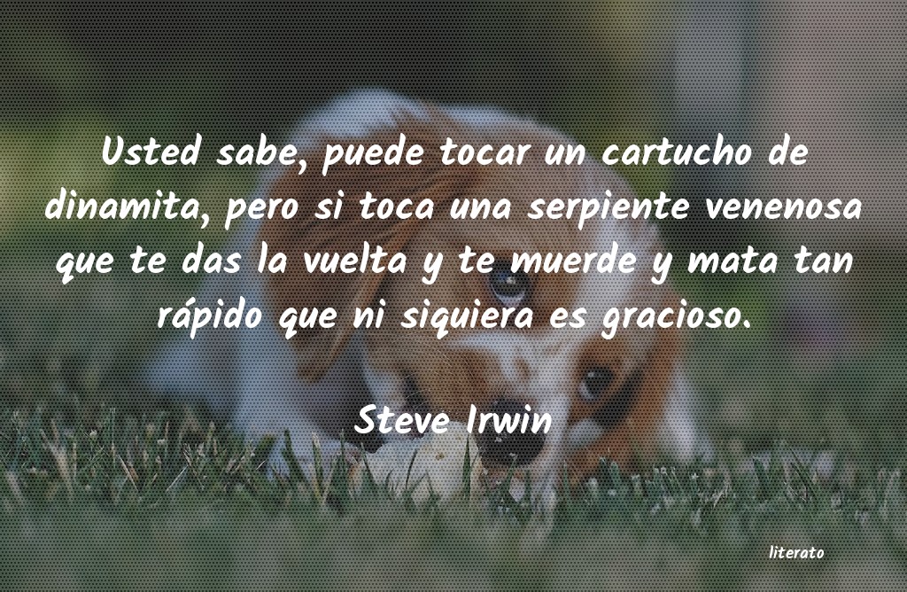 Frases de Steve Irwin