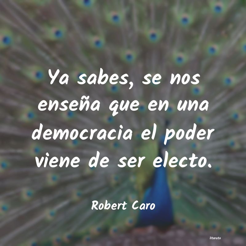 Frases de Robert Caro