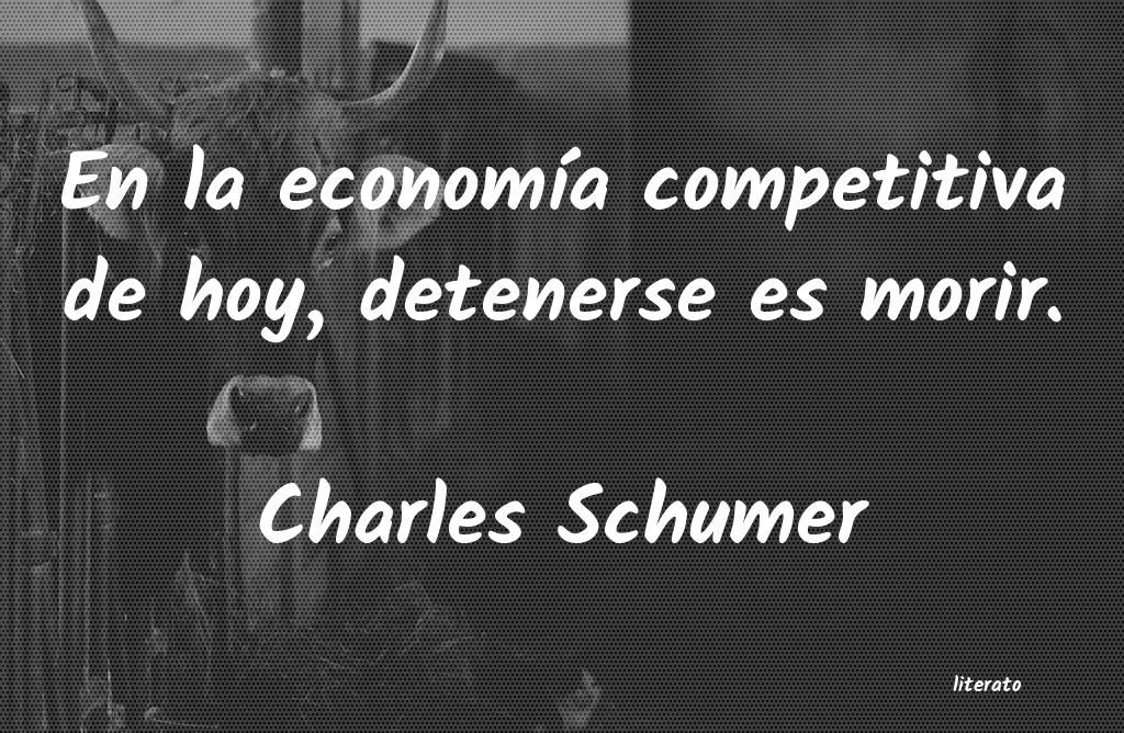 frases de Charles Schumer