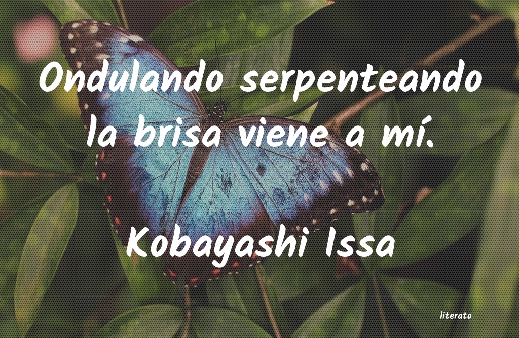 frases de Kobayashi Issa