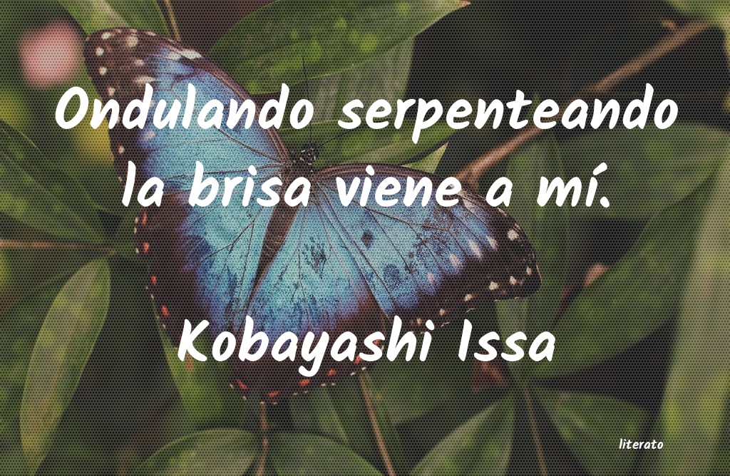 Frases de Kobayashi Issa