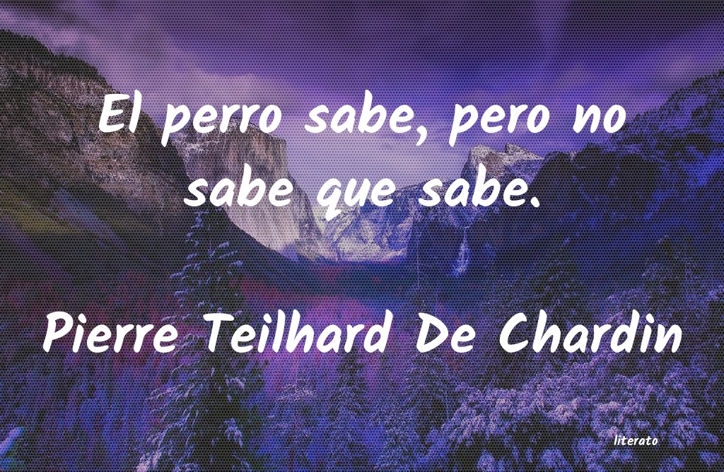 Frases de Pierre Teilhard De Chardin