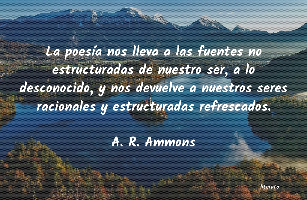 Frases de A. R. Ammons - literato