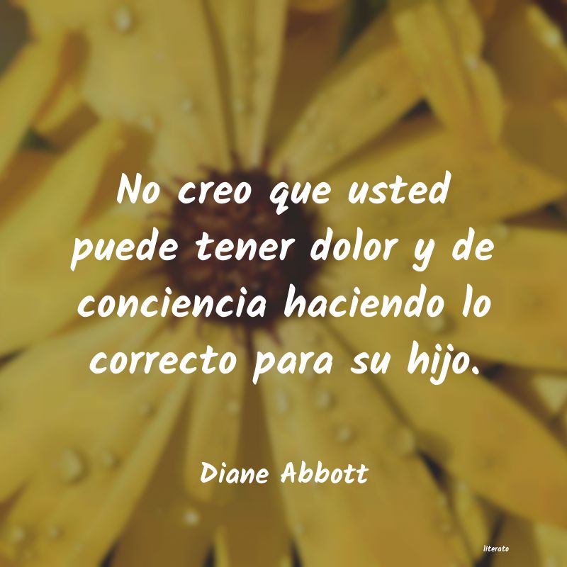 Frases de Diane Abbott