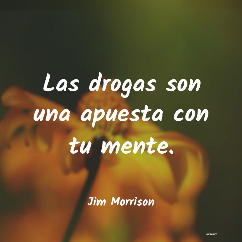 Frases de Jim Morrison