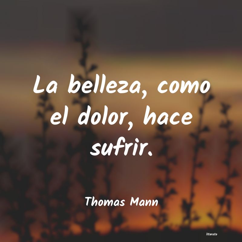 Frases de Thomas Mann