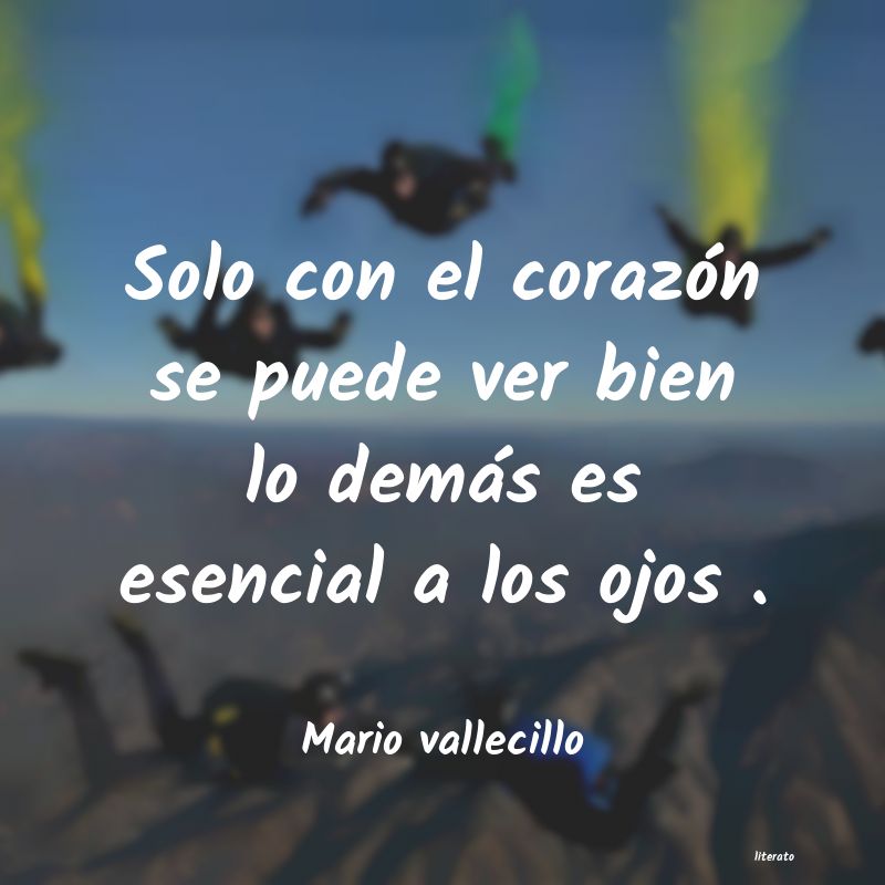 frases de Mario vallecillo