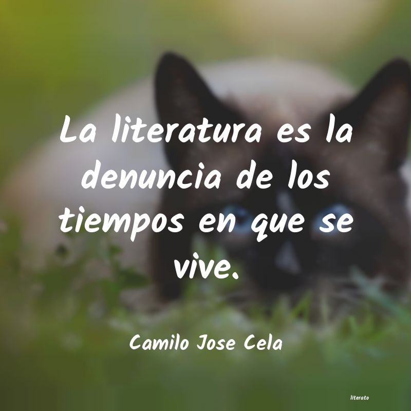 Frases de Camilo Jose Cela