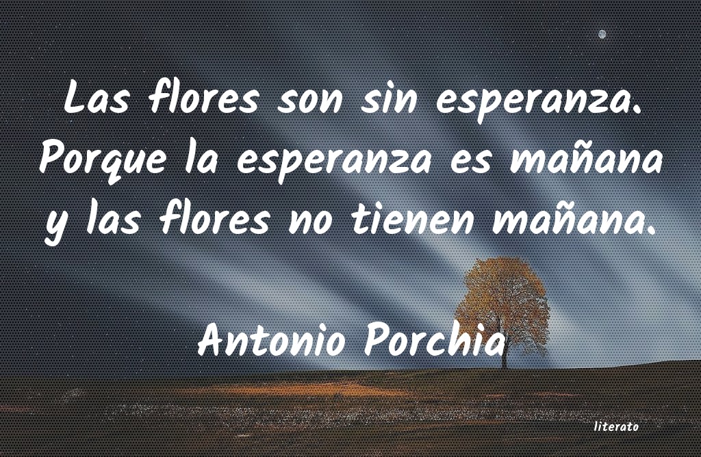 frases de Antonio Porchia