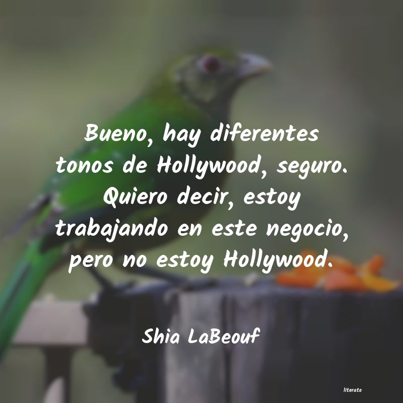 Frases de Shia LaBeouf