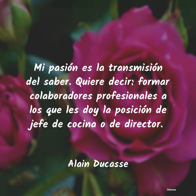frases de Alain Ducasse