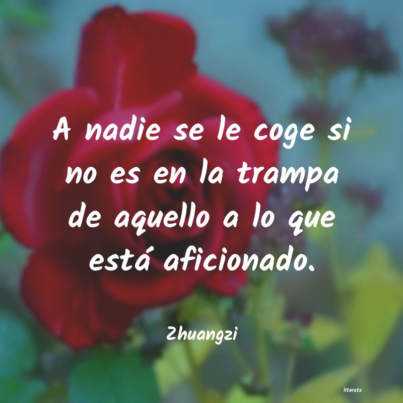frases de Zhuangzi