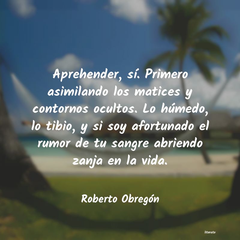 frases de Roberto Obregón