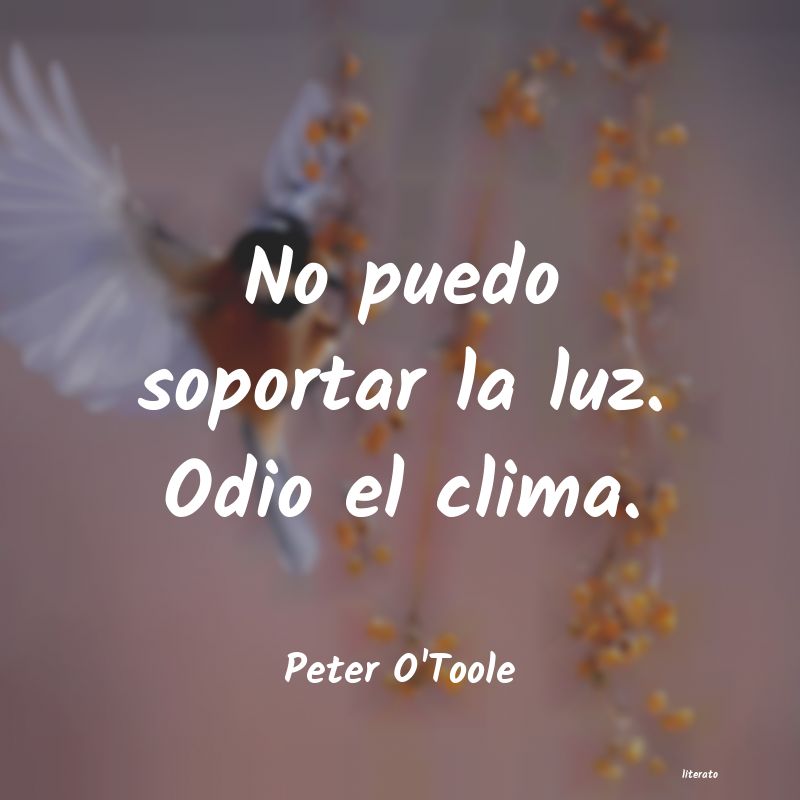 frases de calor clima