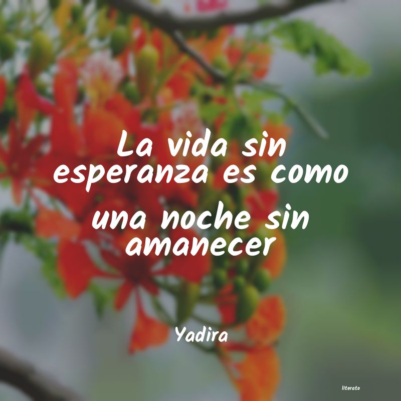frases de Yadira