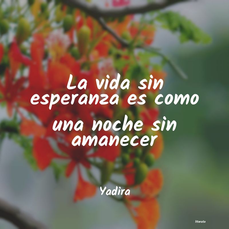 Frases de Yadira