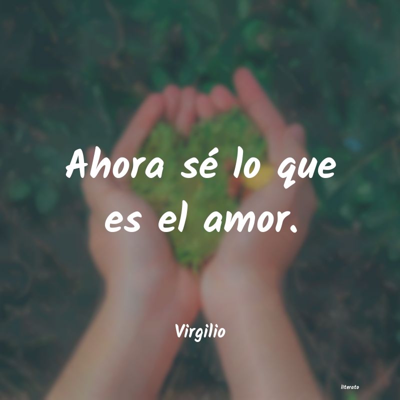 frases de Virgilio