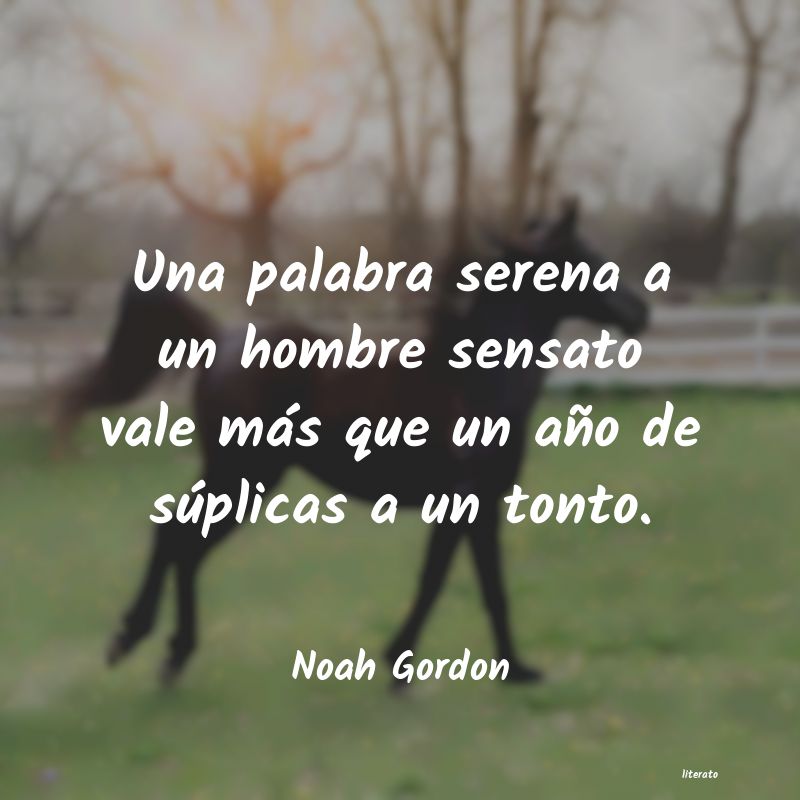 frases de Noah Gordon