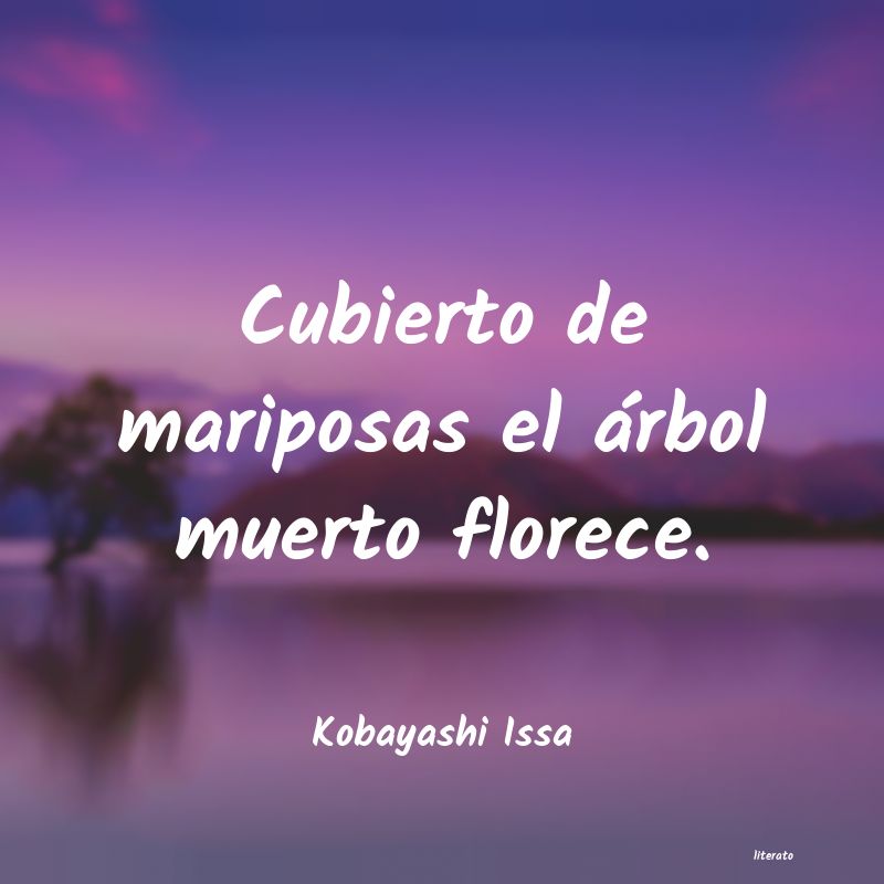 Frases de Kobayashi Issa