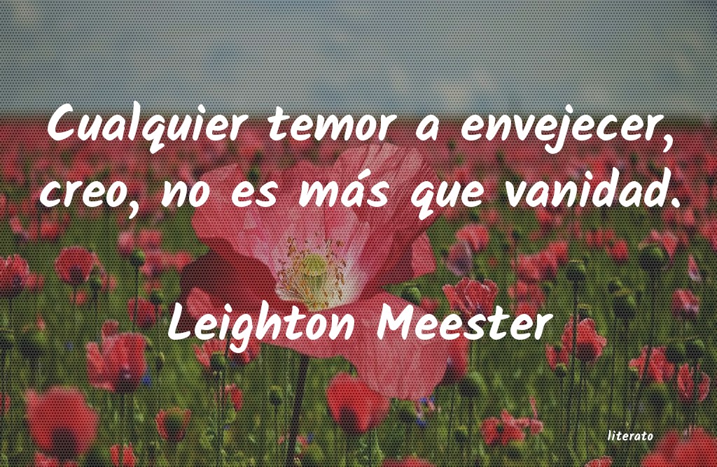 Frases de Leighton Meester