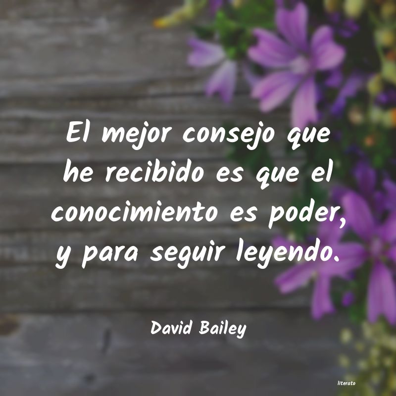 Frases de David Bailey