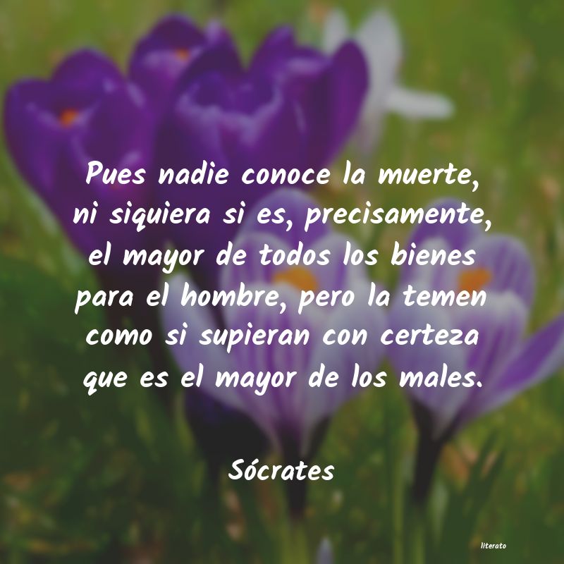frases de Sócrates