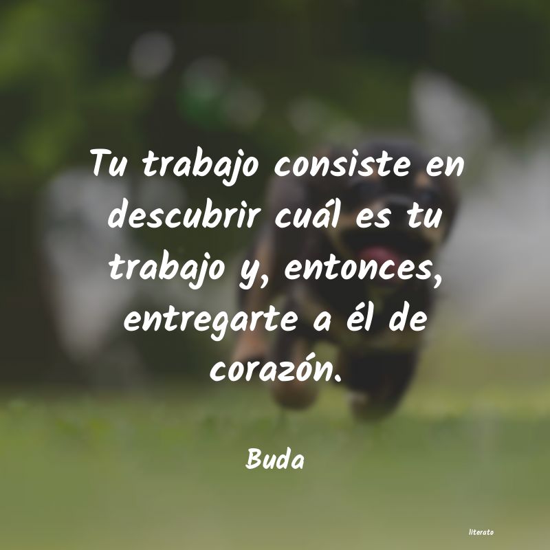 frases de Buda