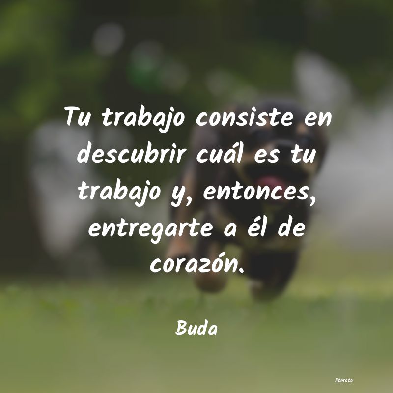 Frases de Buda