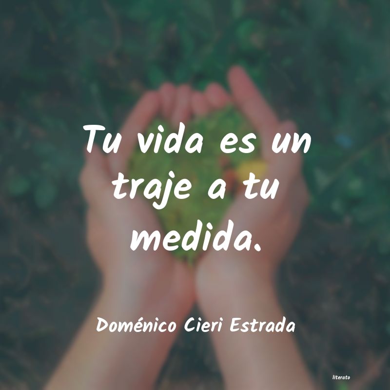 Frases de Doménico Cieri Estrada