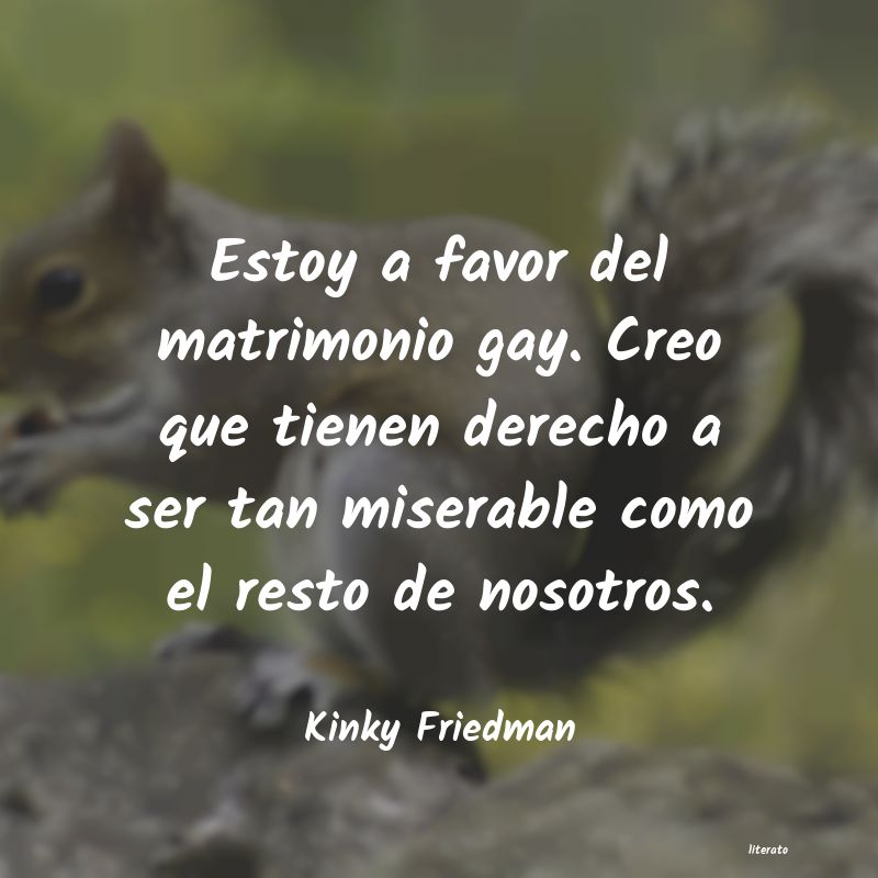 Frases de Kinky Friedman