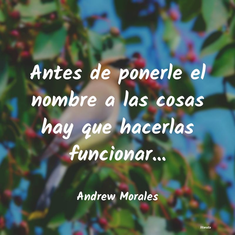 Frases de Andrew Morales